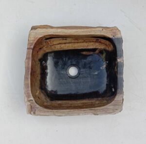 Дизайнерска Мивка за Баня от Вкаменено Дърво