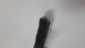 Четка за плъгащи врати 12 мм